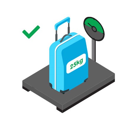 Eva air on sale baggage weight